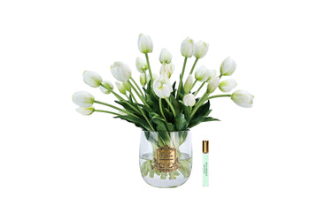Heritage Tulips -White Tulips (Carton of 1)